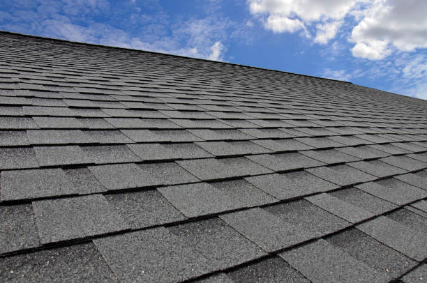 Best Roof Maintenance and Cleaning  in East Richmond Heights, CA